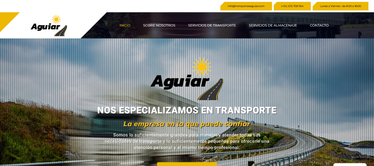 shamiwebs-portfolio-aguiar-burua