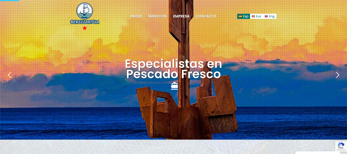 shamiwebs-portfolio-bereciartua-burua