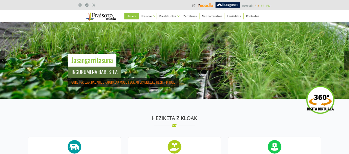 shamiwebs-portfolio-fraisoro-burua shamiwebs-portfolio-fraisoro-burua