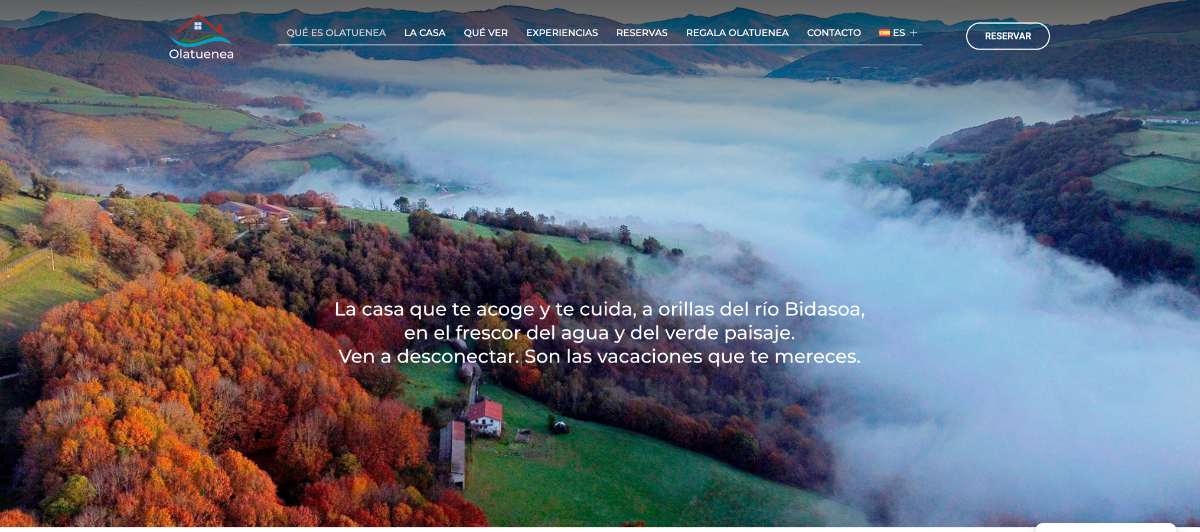 shamiwebs-portfolio-olatuenea-burua