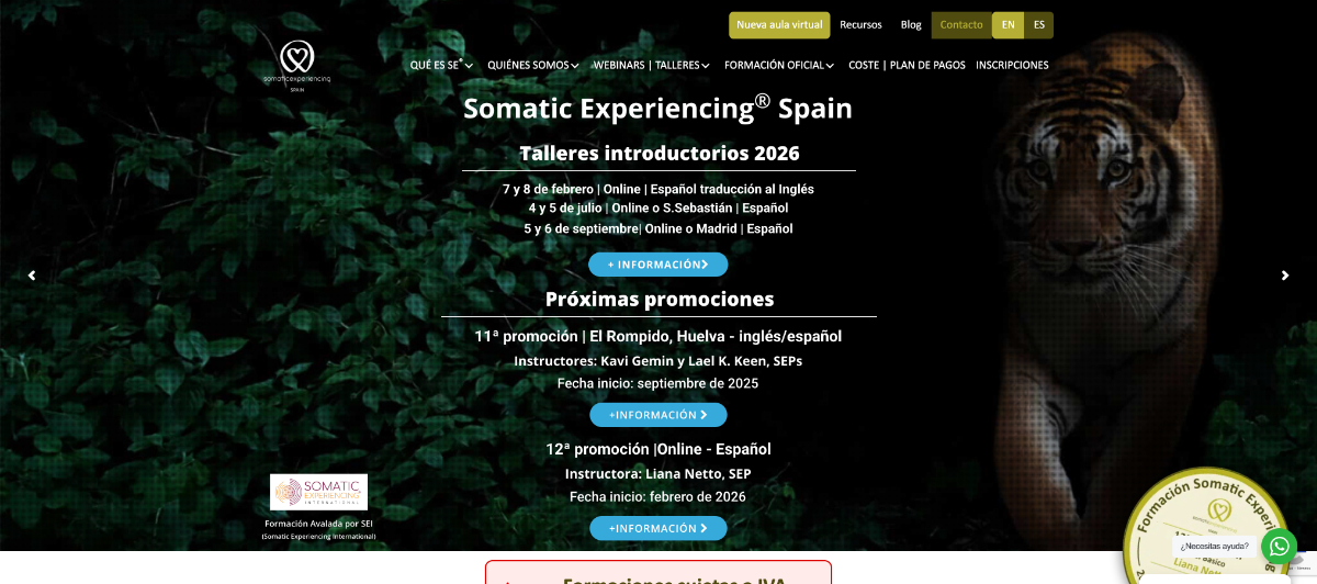 shamiwebs-portfolio-somatic-spain-burua
