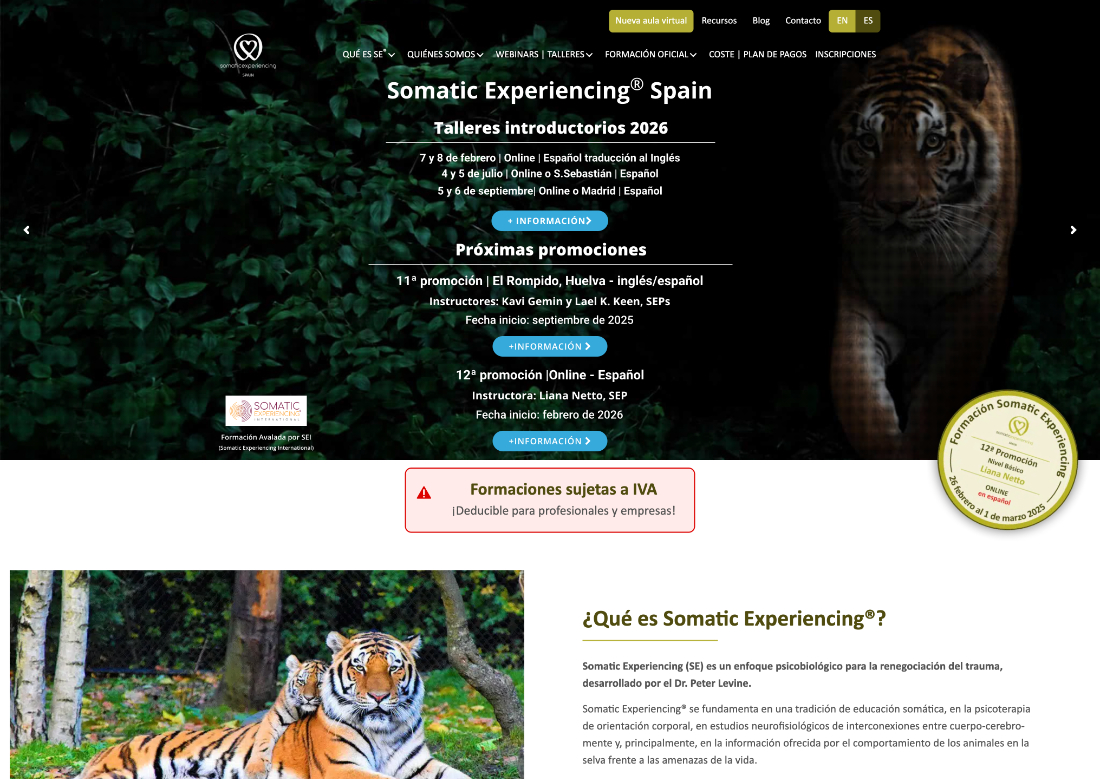 shamiwebs-portfolio-somatic-spain